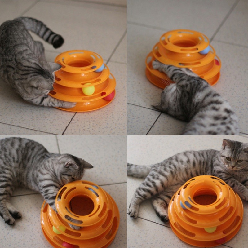 cat with ball toy